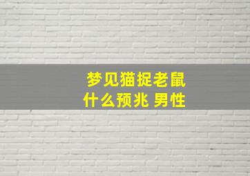 梦见猫捉老鼠什么预兆 男性